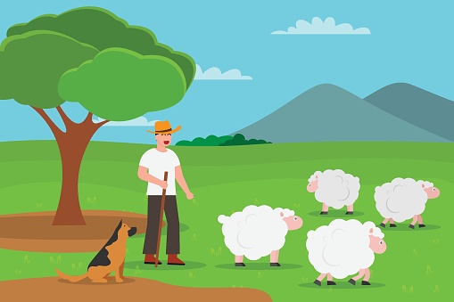 Grazing vector concept. Male farmer grazing a group of sheep with shepherd dog while standing on the meadow