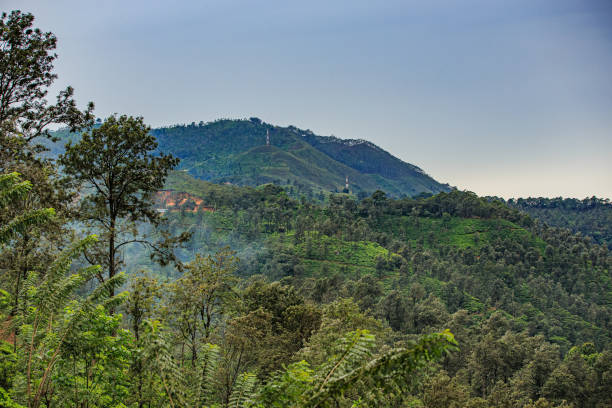 istock Vacation in Ella, Sri Lanka 1393733059