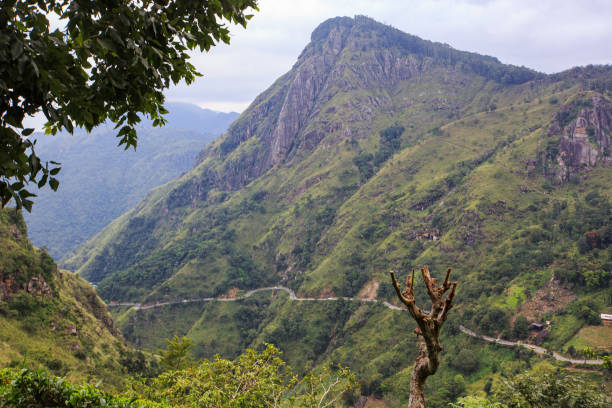 Vacation in Ella, Sri Lanka