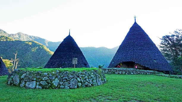 ムバル・ニアン、ワエ・レボ村の伝統的な家屋、東ヌサ・テンガラ、インドネシア -ストックフォト - tenggara ストックフォトと画像