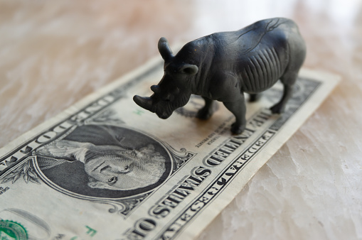 A grey rhino is placed on the dollar note. An allusion to the grey rhino theory. High probability events. Financial crisis, recession, stock market weakness, international trends.decline.