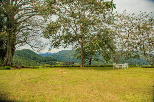 istock Vacation in Ella, Sri Lanka 1393734422