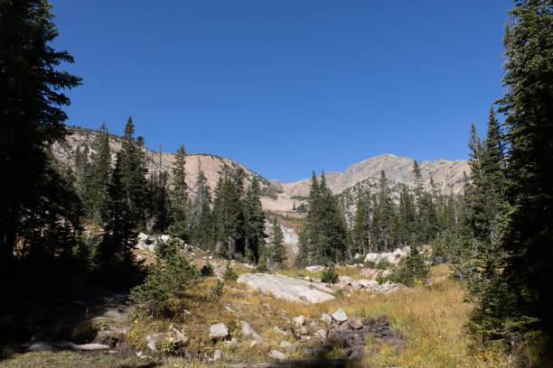 istock A Mountain View in Colorado 1393735175