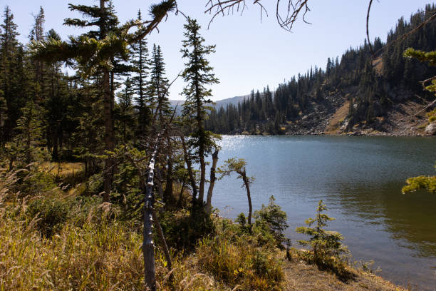 istock The Sun on the Lake 1393735255