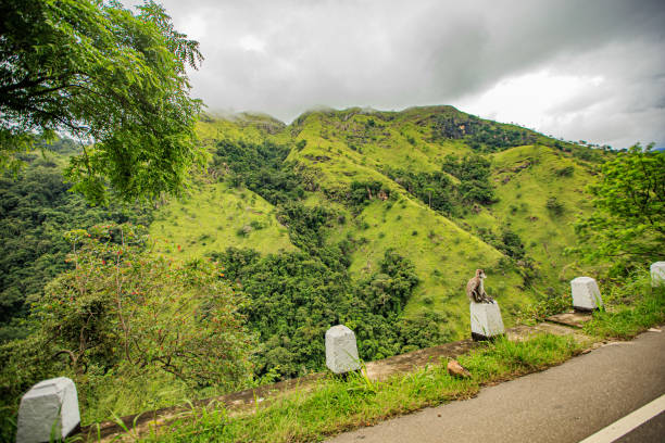 Vacation in Ella, Sri Lanka
