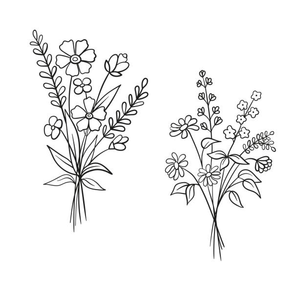 ilustraciones, imágenes clip art, dibujos animados e iconos de stock de ilustración vectorial de ramo de flores - chamomile plant chamomile bouquet wildflower