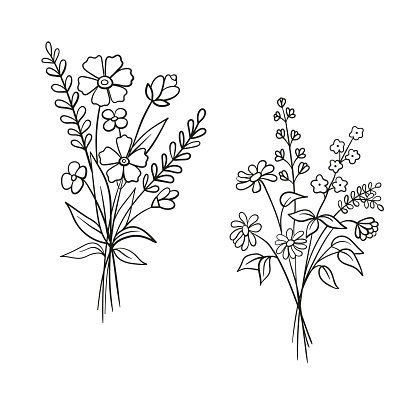 Vector sketch illustration of bouquet of flowers. Set of wildflowers in doodle style