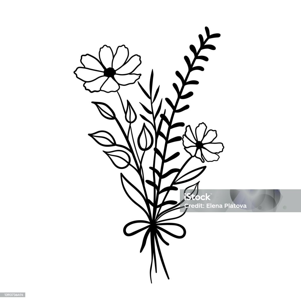 Vector Sketch Illustration Of Bouquet Of Flowers Wildflowers Stock ...