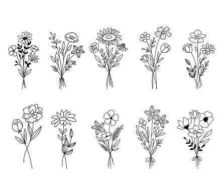 Set vector sketch illustration of line bouquet of flowers.
