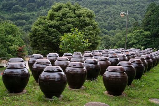 Korean traditional jars on a green lawn.
