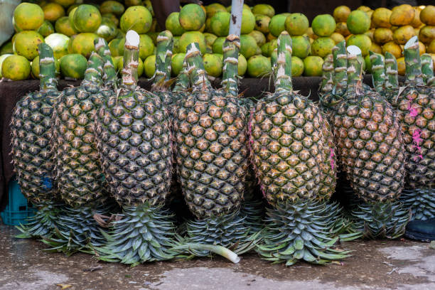 ananas crudi e mango sono venduti in un mercato locale di street food sull'isola di zanzibar, tanzania, africa - africa agriculture zanzibar industry foto e immagini stock