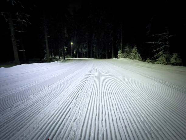 istock Cross country ski track seen at night 1393739711
