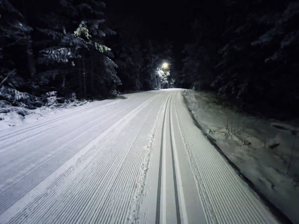 istock Cross country ski track seen at night 1393739717
