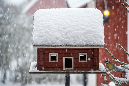 A red birdhouse covered with snow on the roof seen during snowfall in Karlstad, Sweden, a cold winter day.