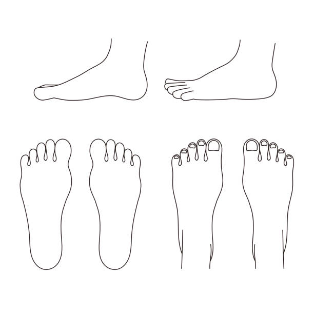 ilustrações, clipart, desenhos animados e ícones de ilustrações monocromáticas simples das solas, passos e lados - human foot reflexology foot massage massaging