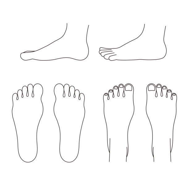 простые монохромные иллюстрации подошв, ступеней и сторон - sole of foot stock illustrations