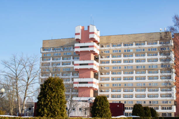 istock Windows on tall residential building and tree nearby 1393741354