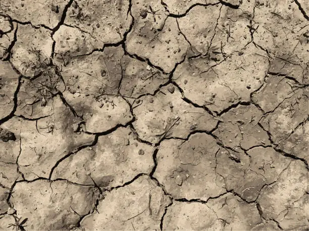 Vector illustration of Cracked earth background. Dry ground surface with cracks. Mud cracks.