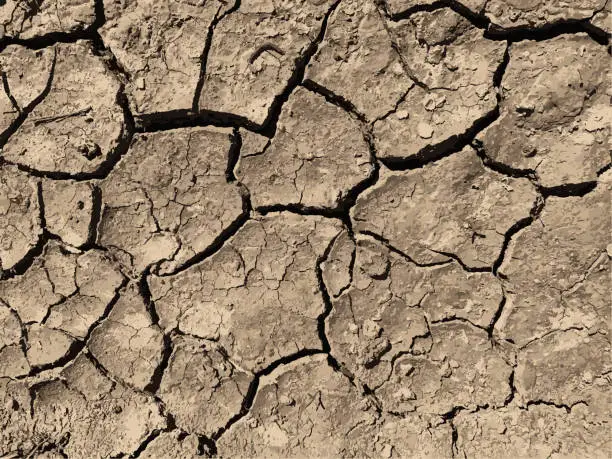Vector illustration of Cracked earth background. Dry ground surface with cracks. Mud cracks.