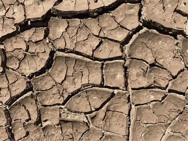 Vector illustration of Cracked earth background. Dry ground surface with cracks. Mud cracks.