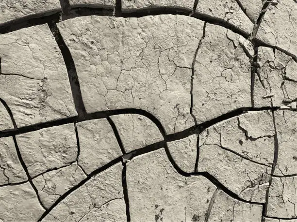 Vector illustration of Cracked earth background. Dry ground surface with cracks. Mud cracks.