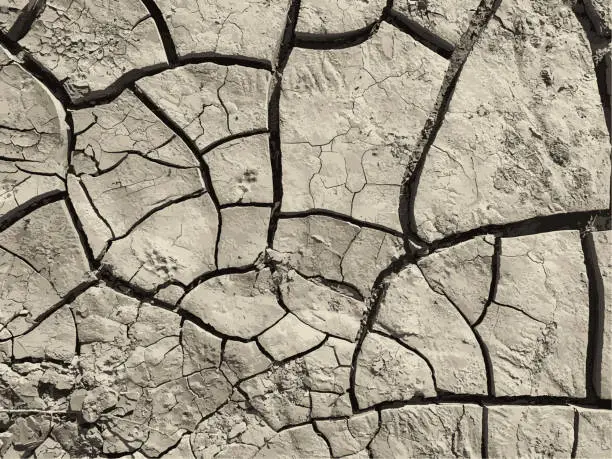 Vector illustration of Cracked earth background. Dry ground surface with cracks. Mud cracks.