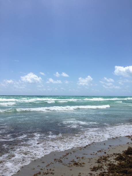 istock Miami Beach in April in Florida. 1393743655