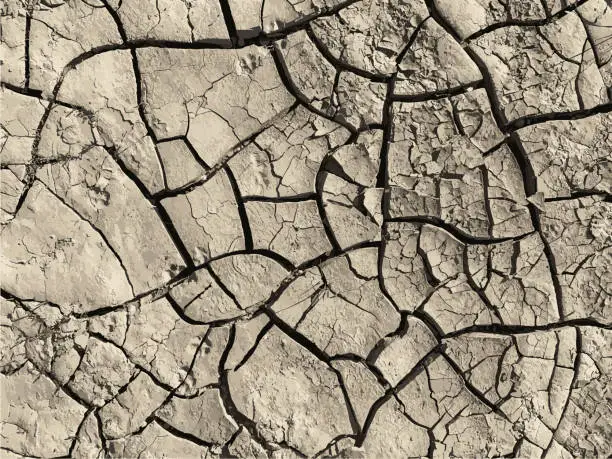Vector illustration of Cracked earth background. Dry ground surface with cracks. Mud cracks.