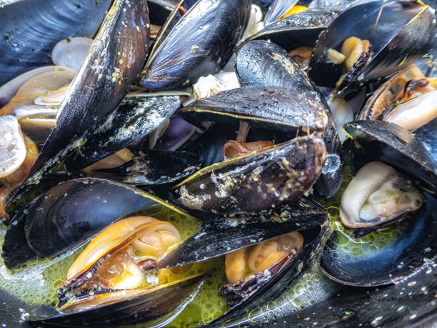 istock Steamed mussels in white wine sauce 1393750409