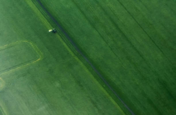 istock An aerial view of harvest. 1393750567