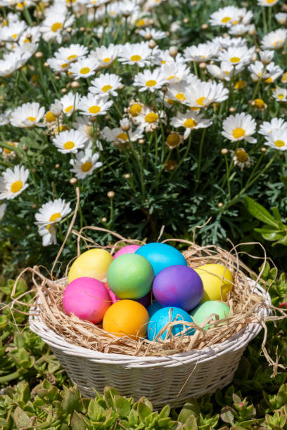istock Colorful Easter Eggs and beautiful white daisies, vertical 1393753228
