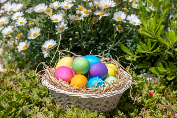 istock Colorful Easter Eggs and beautiful white daisies 1393753234