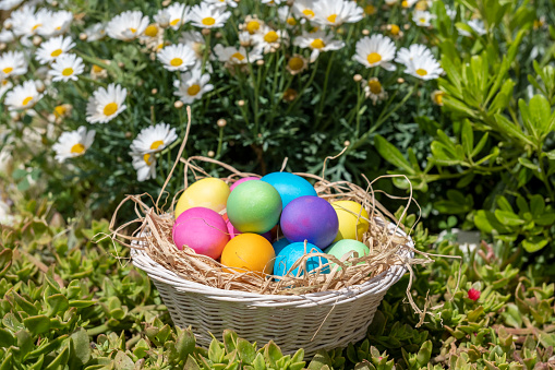 Easter Celebration and Spring concept: Large Group of natural colored Easter eggs in cute gift basked hidden in meadow as symbol for searching and finding. Beautiful Event invitation card background with copy space
