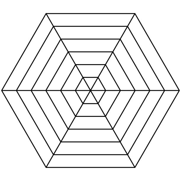 hexagon radar vorlage spinnennetz diagramm spider 6s leere sechskantradar karte vorlage - spinne grafiken stock-grafiken, -clipart, -cartoons und -symbole