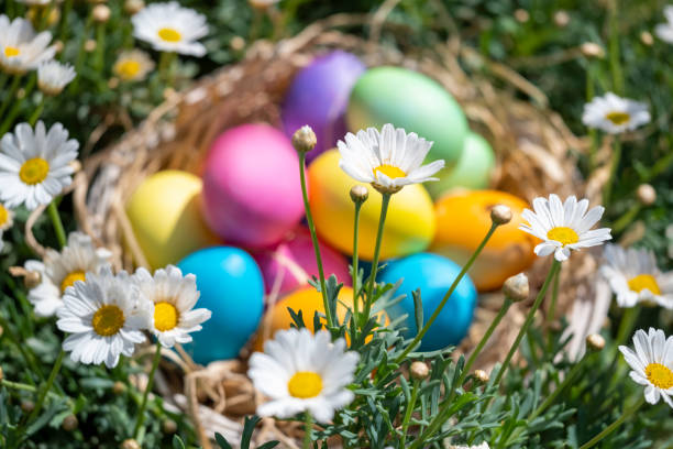 Easter Celebration and Spring concept: Large Group of natural colored Easter eggs in cute gift basked hidden in meadow as symbol for searching and finding. Beautiful Event invitation card background with copy space