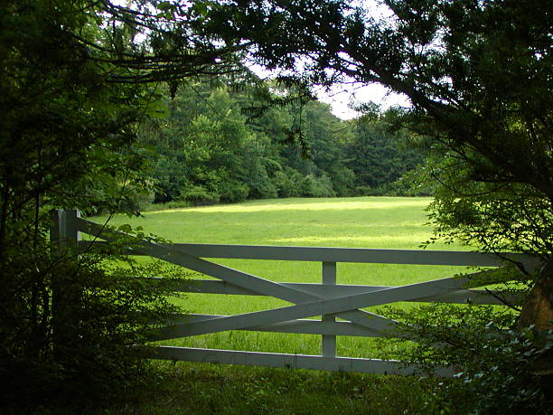 istock White gate, green field, Coventry, RI 139375485