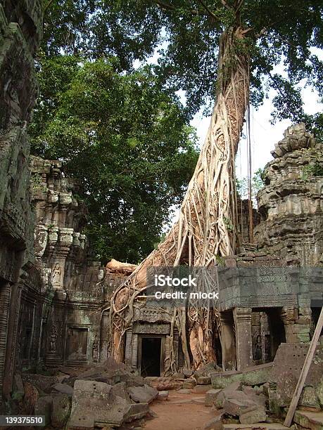 Храм Та Прум С Дерево В Крыше Автомобиля — стоковые фотографии и другие картинки Ангкор-Ват - Ангкор-Ват, Без людей, Вертикальный