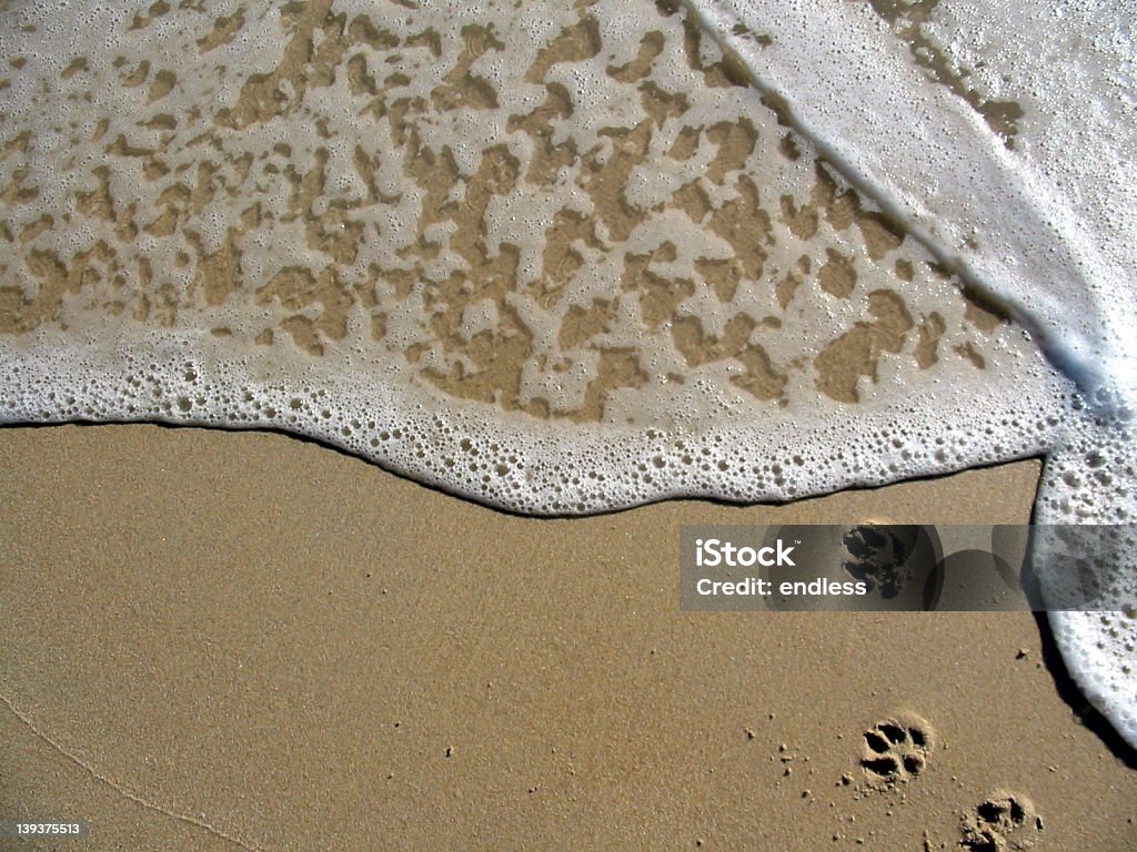 Pata com garras Oceano - Royalty-free Ao Ar Livre Foto de stock