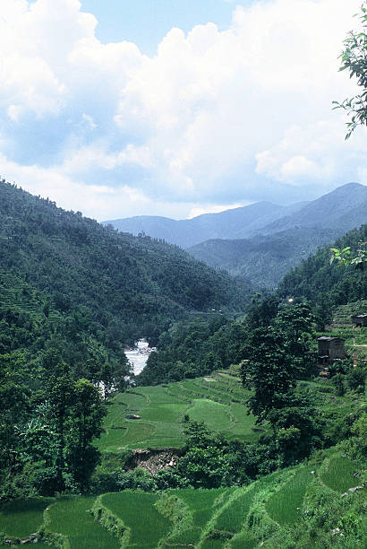 istock Bhoti Kosi River Valley - Nepal 139375699