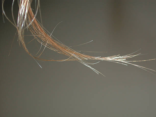 istock Lock of hair 139375732