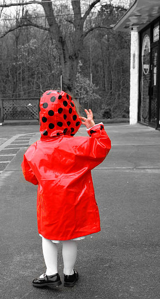 Red Coccinelle Vêtement de pluie - Photo