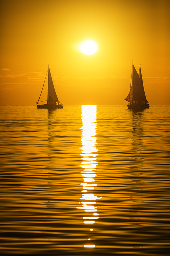 Silhouettes of sailboats on at sunset.