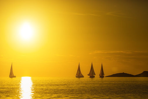 Silhouettes of sailboats on at sunset.