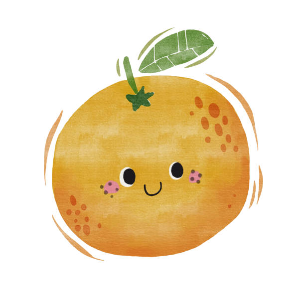 Watercolor cute orange cartoon character. Watercolor cute orange cartoon character. oranges with faces stock illustrations