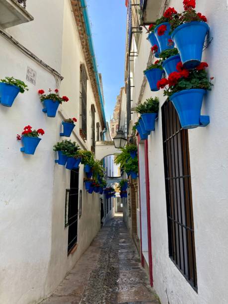 istock Spain - Andalousie- Cordoba 1393763486