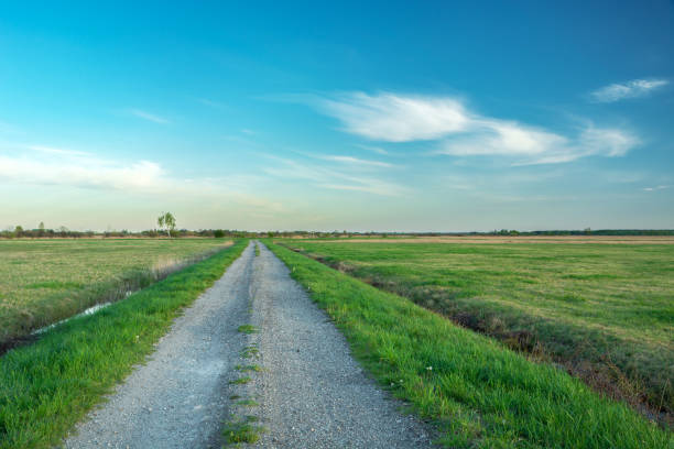 istock An empty and straight gravel road through green meadows 1393765825