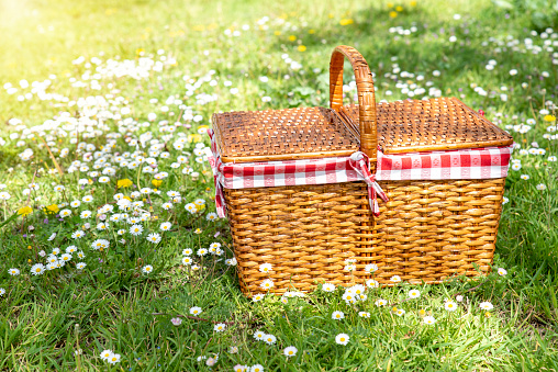 Summer picnic basket  in a field of flowers. Departure for a picnic on the weekend or vacation.