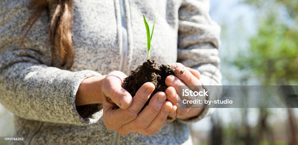 A woman holds a plant in her hand Adult Stock Photo