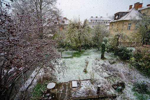 Snow over spring in waking back yard in April, Ljubljana, Slovenia.