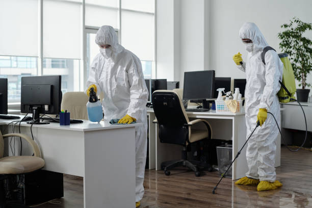 istock Two workers of disinfection service company working in openspace office 1393767131